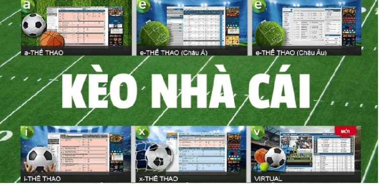 Giới thiệu về kèo nhà cái 6686 Giới thiệu về kèo nhà cái 6686