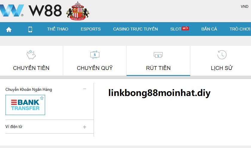 Các phương thức rút tiền w88